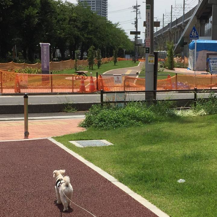 41fc87f4 8642 4a73 8040 ef17cbb27355