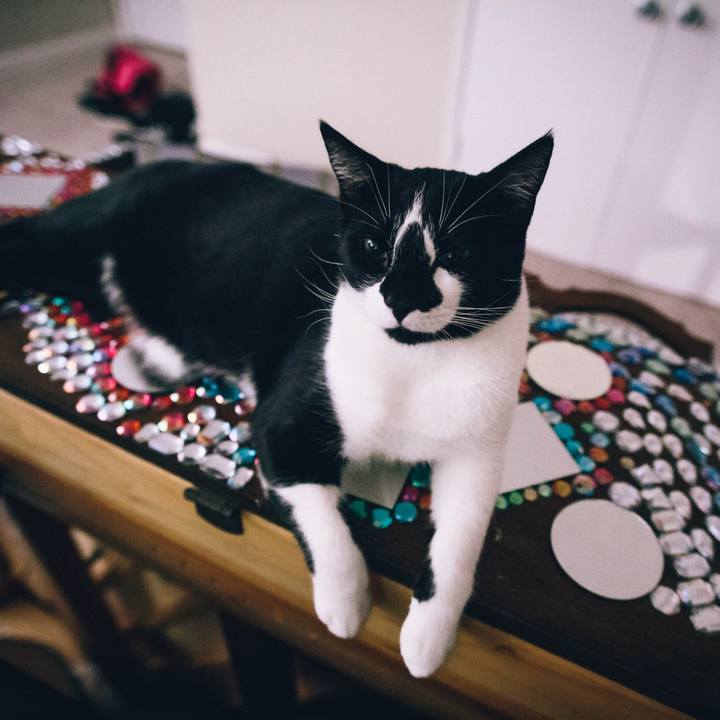 41fd7fcd dd47 4e91 aaee 61ecae120c6c