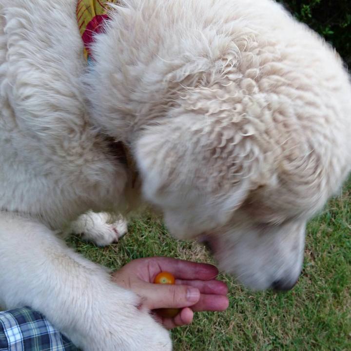 41fe66c1 59e0 4a05 876a e7579b96a6d4