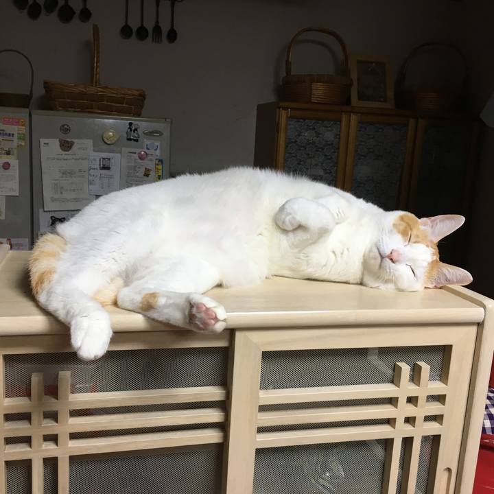 41fe7aa9 9182 45ff b4ed 5339b5eb5c58