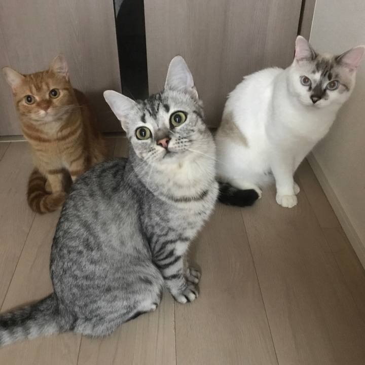 41ff2b05 2840 48e5 b498 ea44f14be961