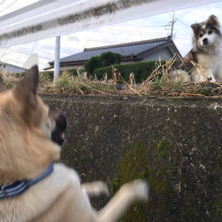 41ffcd2d 07f2 4016 9eac 3c5431fb277a