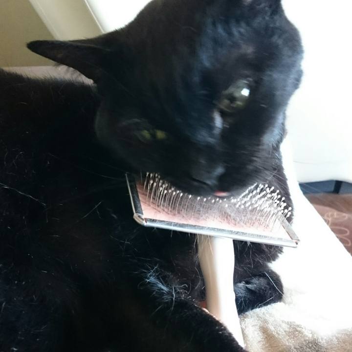 42009487 ab5c 4736 af3d 32a084b386f6