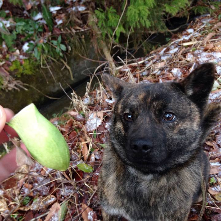 4200a3a0 4505 4647 a2f6 4642646e958e