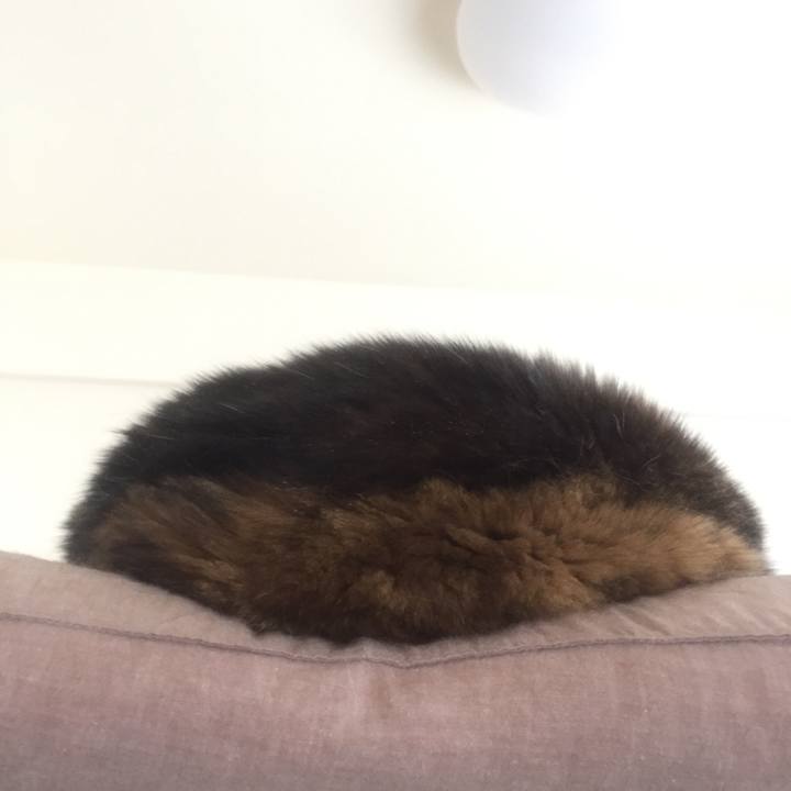 420113c4 4992 46af a5e2 852186101d38