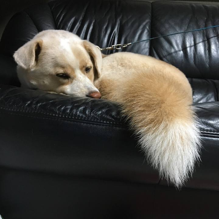 4201c069 309e 4ab9 9122 92413acf6538