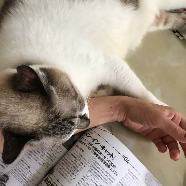 4201c9ec 5100 4c4c a999 0d16892b578a