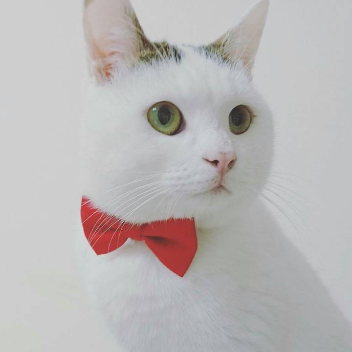 4202974b e497 4b92 ad91 714e6159921c