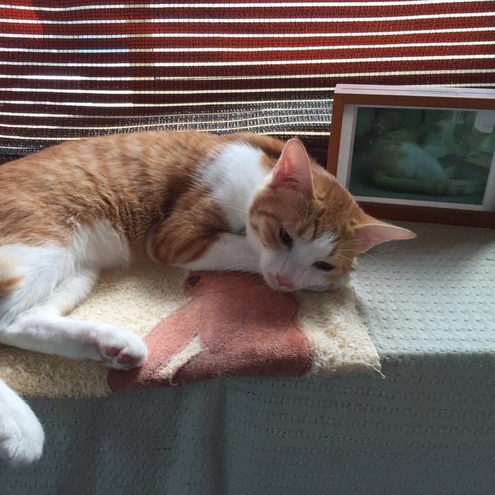 42029ee4 3a76 439e 842b 76b5fa7120a3