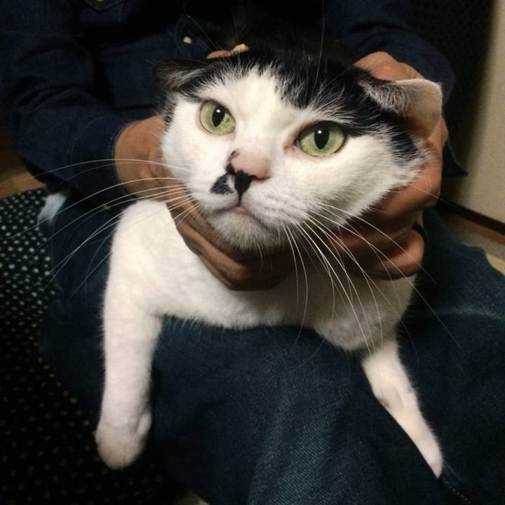 4202d173 2620 470a ac85 54fb0f385d41