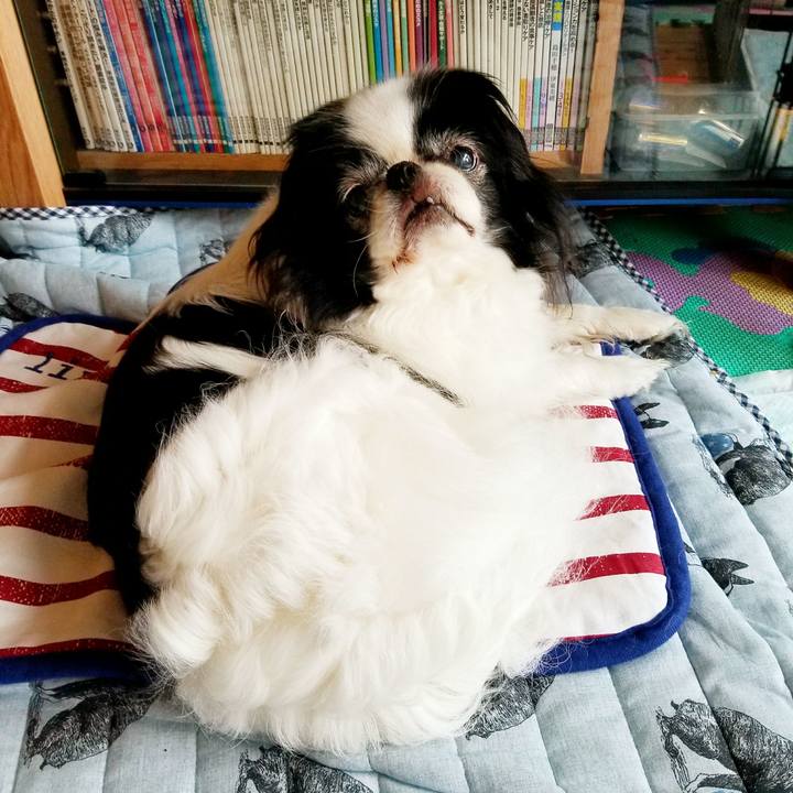 42047896 7dbd 4754 ae46 62da93b230fc