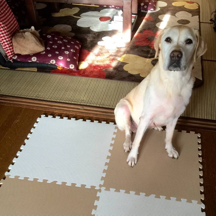 42050449 31d9 45b3 b6a4 42fff1ec0b88