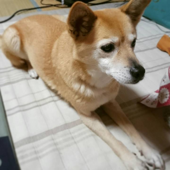 42050e09 b1c9 4a01 85bf 684f2fdfd452