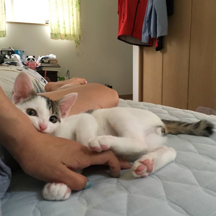 420545d3 b339 4b4f 895a 82f0a8119099