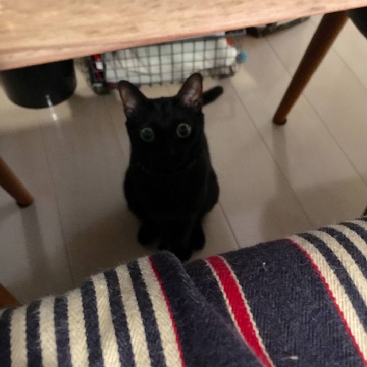 42055f56 b9fd 490f 92d5 cdec061f5a18