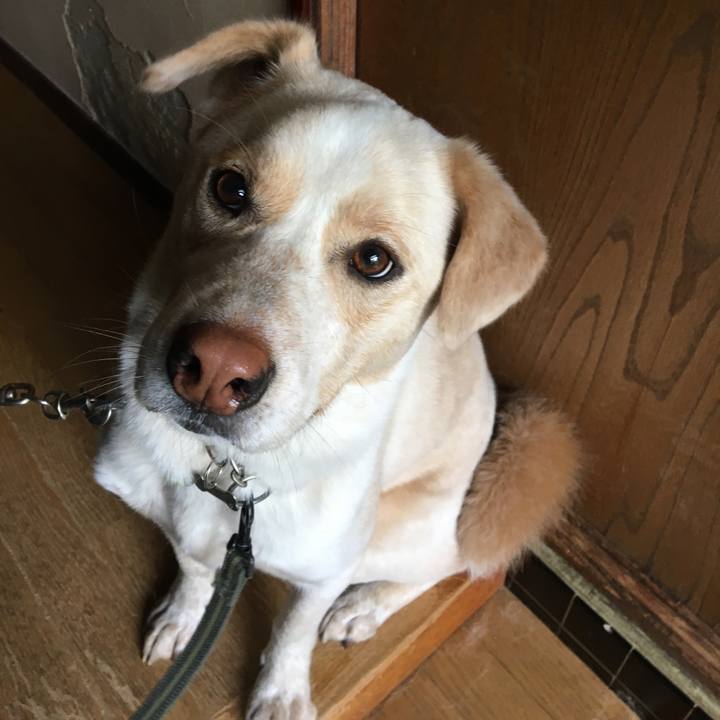 42069096 767b 4d49 948e c8cb0fdd252f