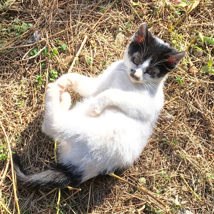 4206d86f ff31 4592 b616 30e001c6c07c