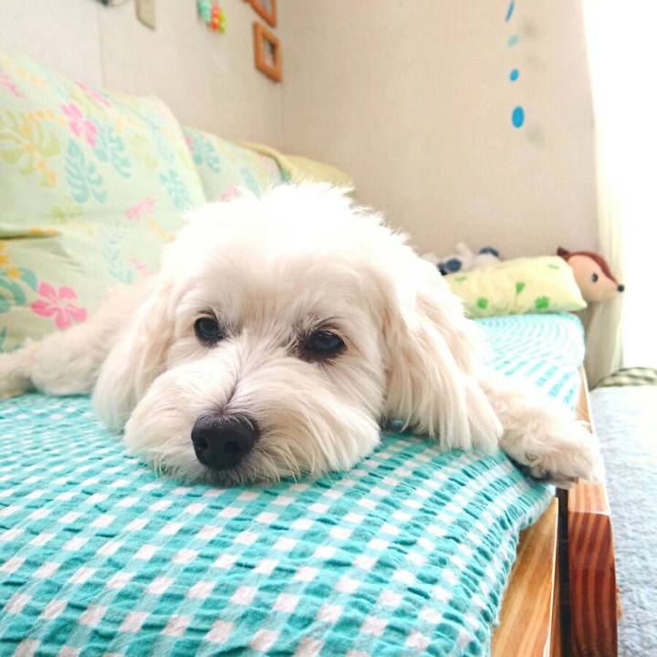 4207731f b0be 4821 85ab 5c66749174f9