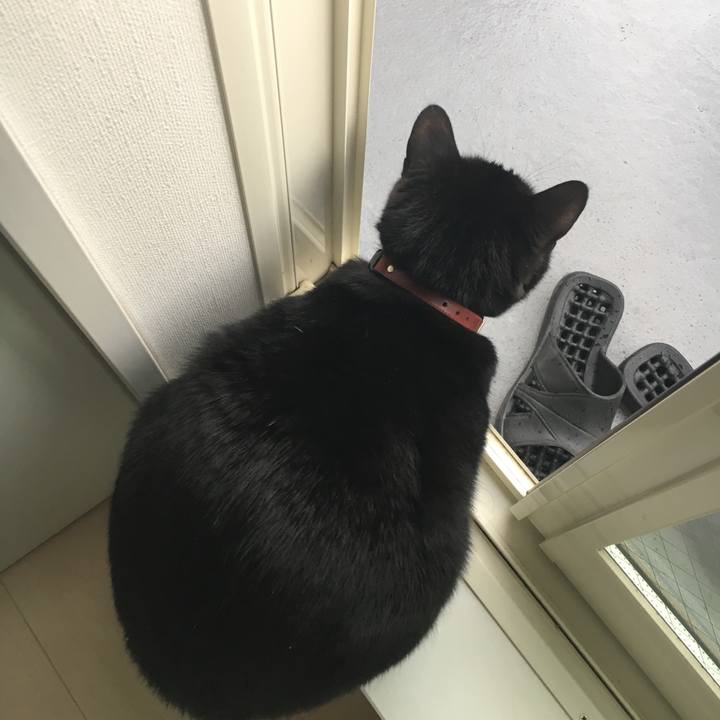 4207f7bb 7a40 46f7 8dd6 e5f20dfdc703