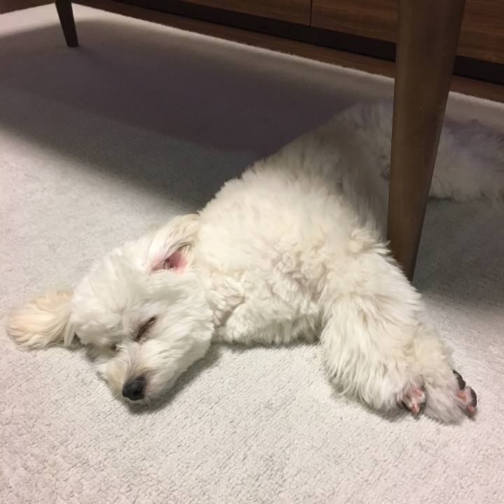 4208369f d26c 480e 8c78 f2ef8f42e026