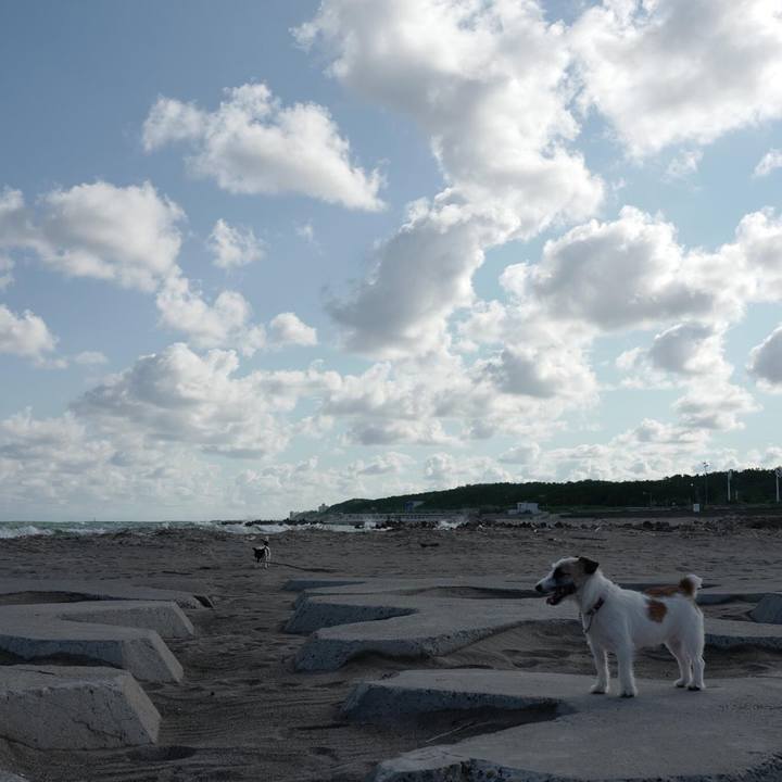 420865e1 cfbf 4e63 90c2 90164a778a4a