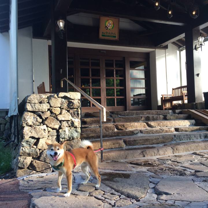 42088b08 d655 4569 8254 c4ec97a60ec1