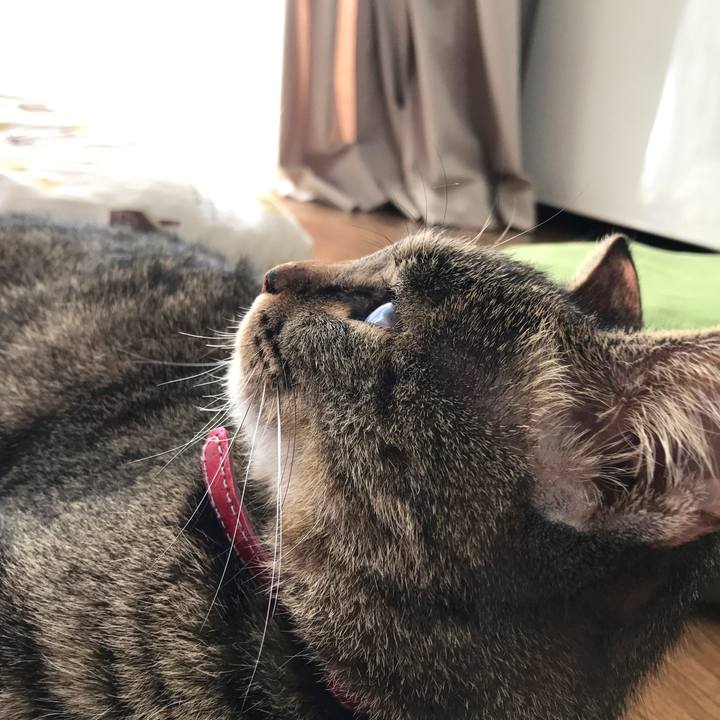 4208bbb3 0923 4bd5 89bc e7e0ccb30050