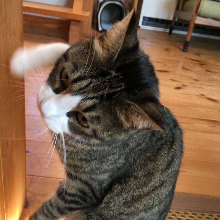 42090fef a9f0 41cf 9f11 75e229e3ee90