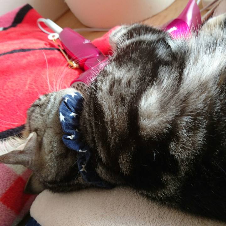 42096ec6 5f35 483a aaa7 6bb24896cae9