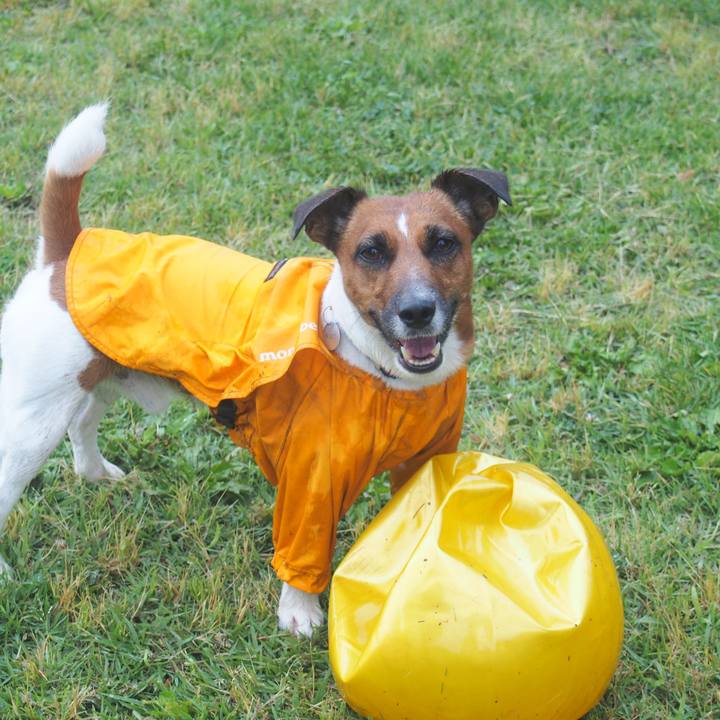 4209c7bc 5a06 44ff a4ee 54d89df3f043