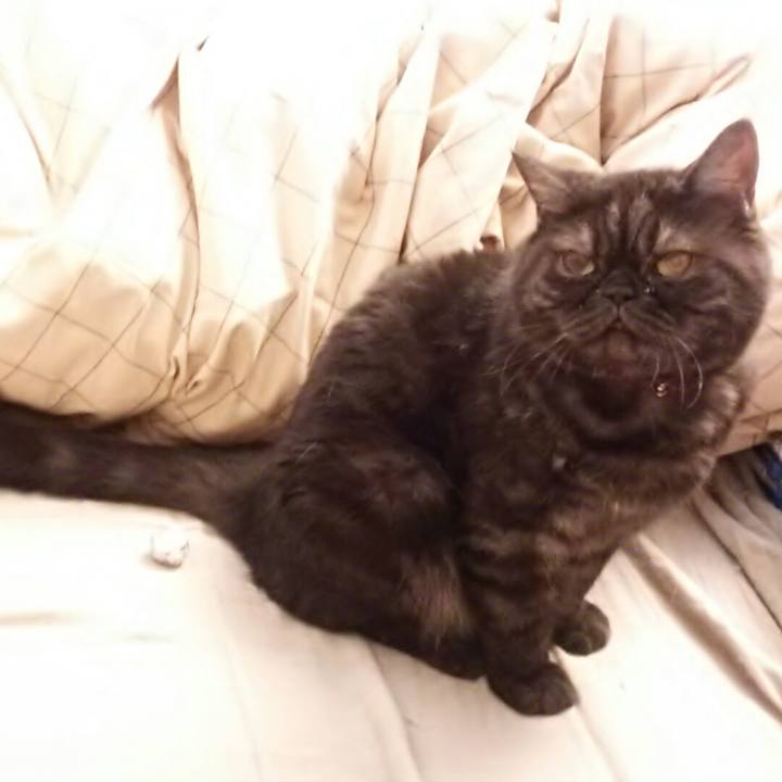 420a201a 22db 4243 b57f 89d33888e6c4