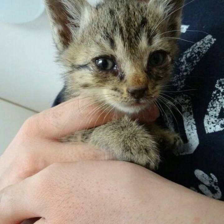 420a3d61 e10d 4c50 a965 320aa2857f75