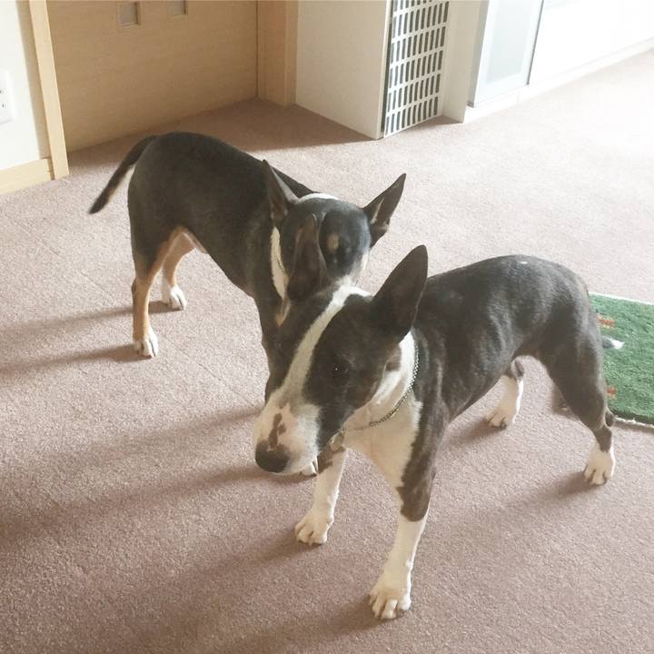 420a70d3 cafd 494b b636 89ead4d2c648