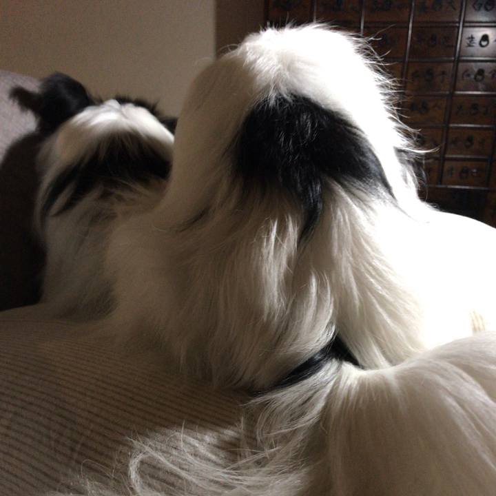 420b7747 5428 43b3 a4cf cc31b51613b0