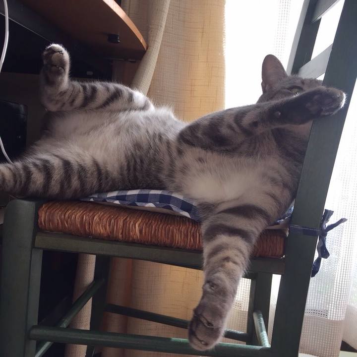 420bfeac 6b60 4d76 8d2c 63c781cfd44a