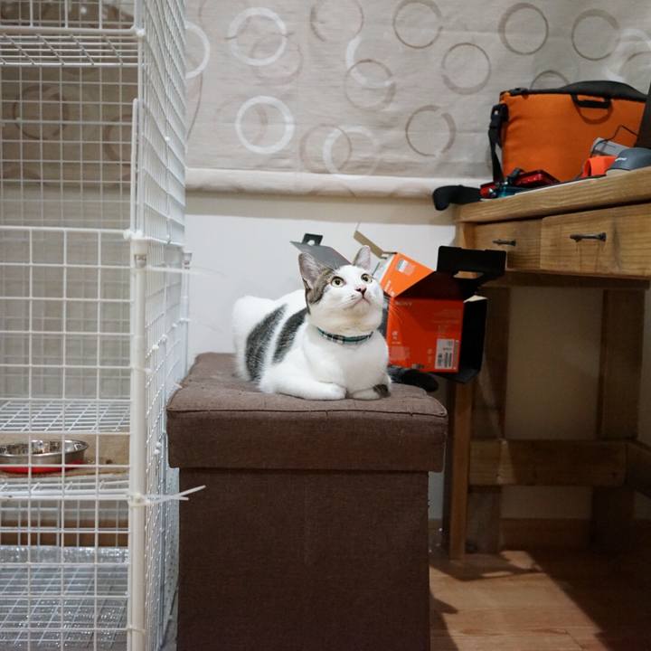 420c5dde 4205 42ec 97d7 b718bbad3ae0