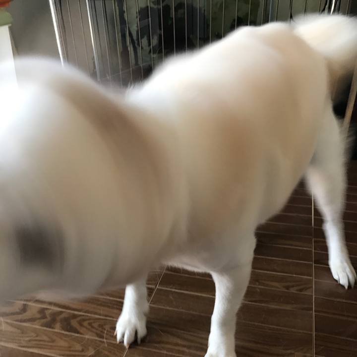 420c7f35 c7f6 45cd ac7c 533f507494eb