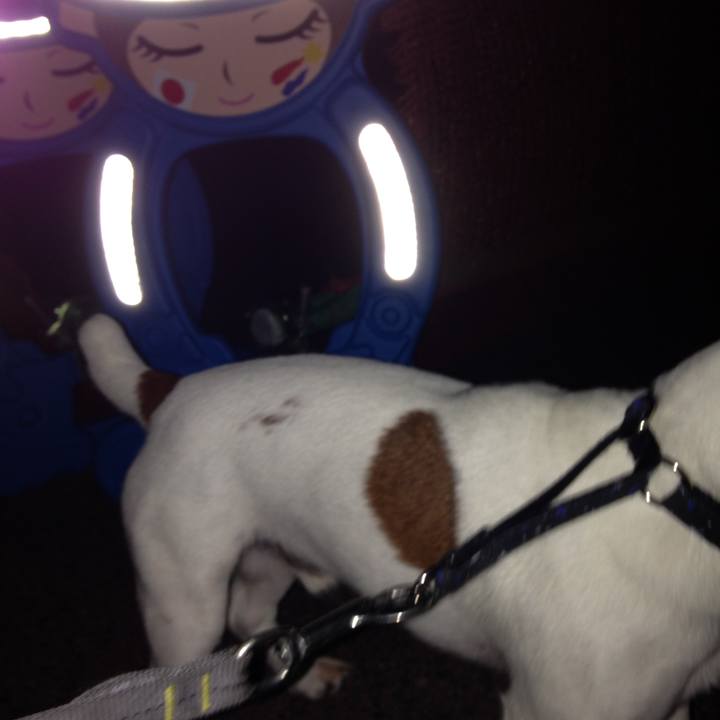 420d2e3d a0e0 490b a3ee 6fd81c919c1d