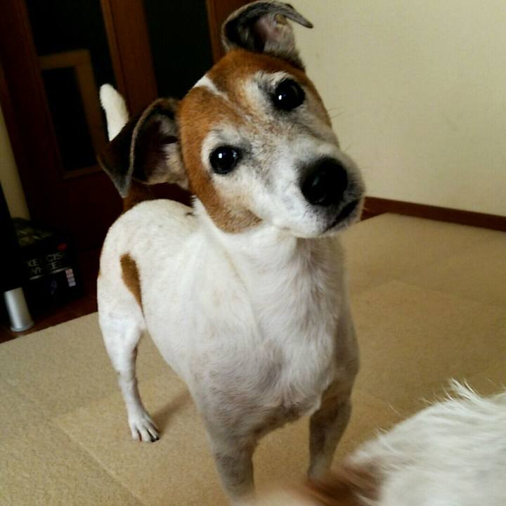 420d3cb2 4cdc 4835 a53f 4456eab787f4