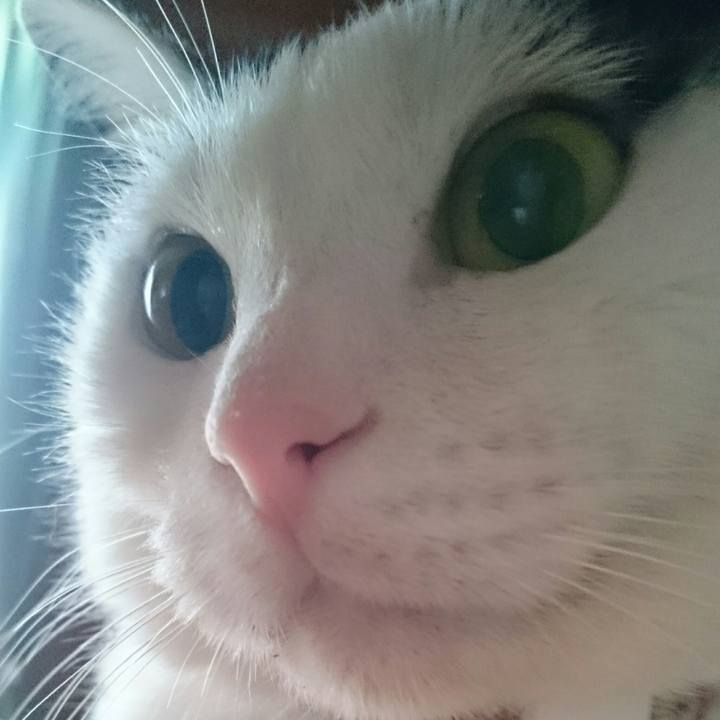 420d6752 5c4c 4961 b167 da4f246cd11b