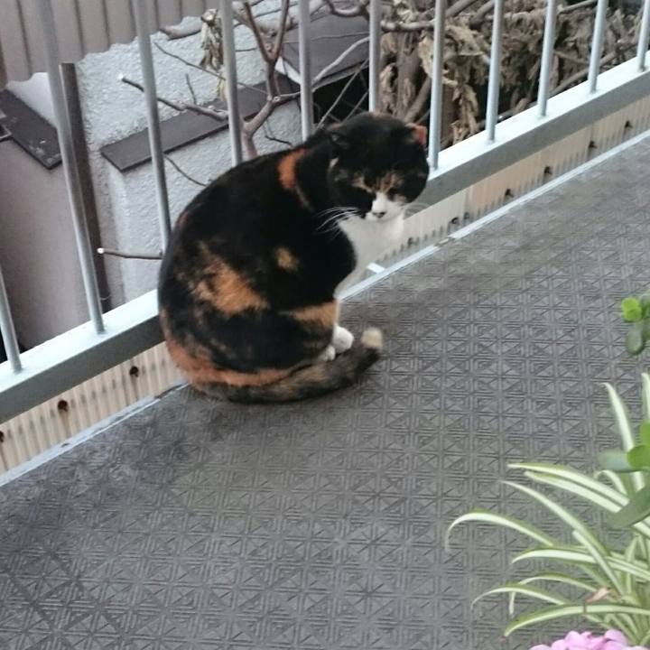 420dcccb e51b 4028 9d5e 4f9fa9ab25e2