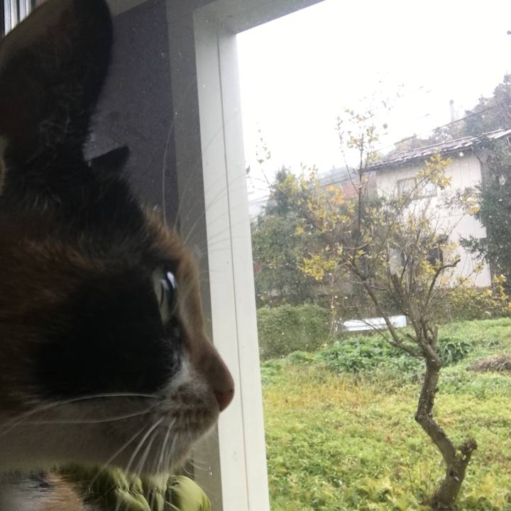 420de8a2 8e49 4ab9 a988 52322c34b24f