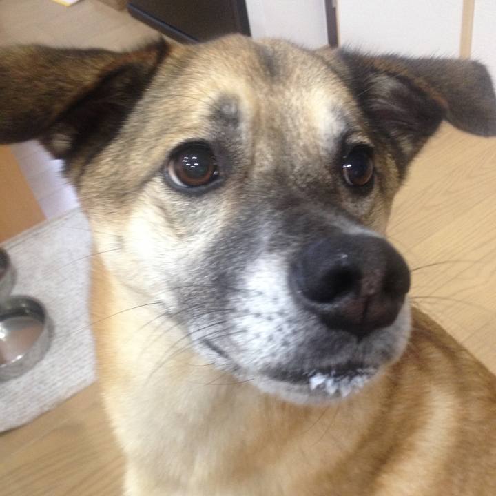 420e107e 744d 4534 8ad3 eacf7ba91019