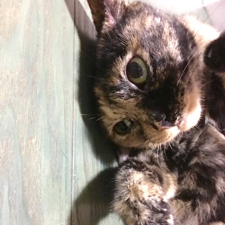 420e3949 72a7 4d4e 92a4 82f53f51ef37