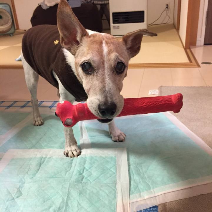 420ecb6d f19e 4d29 b57f 3361125535ef