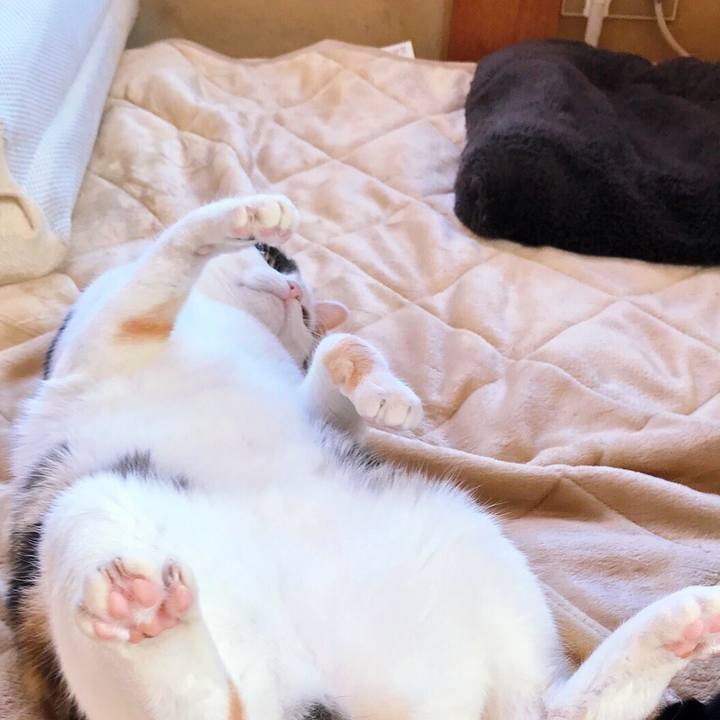 420efd24 cd78 4814 b301 2ebed1347cf0