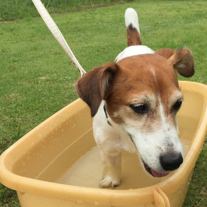 420f230f 4ff6 472c afc5 5bdac6edf87a