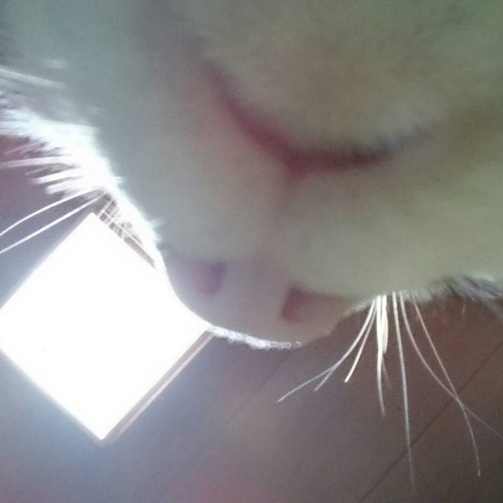 420fcc81 37ab 4bcc bc47 258e15fa9538