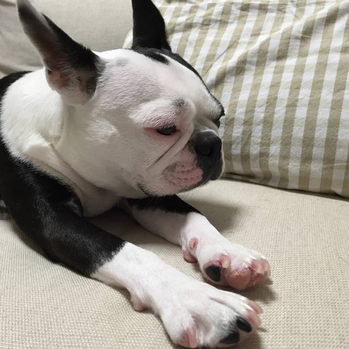 42101cec a075 496c a4b5 31966f97cbd5