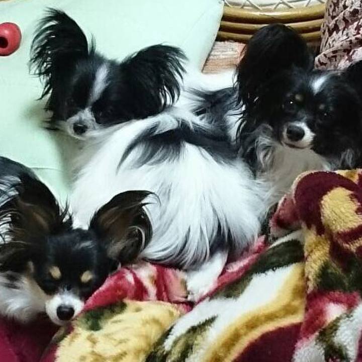 42102485 1c5d 4257 9470 0533c88d93b3